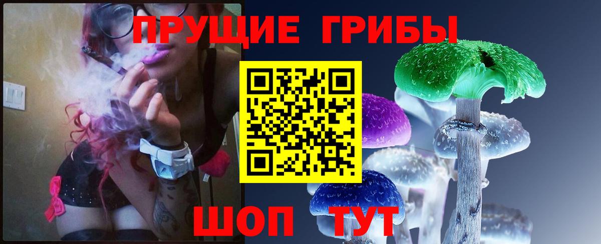 Рассказово  Псилоцибиновые грибы Magic Shrooms  Вход с VPN 