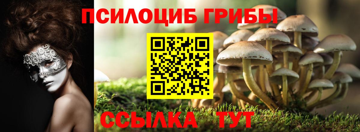 Галлюциногенные грибы мухоморы Рассказово
